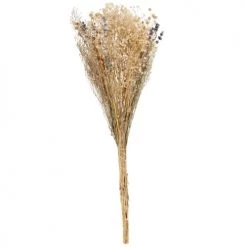 Les meilleures critiques de 🔥 Maisons Du Monde Bouquet De Fleurs Séchées Beige 🛒