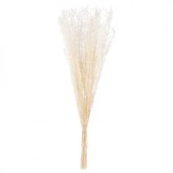 Meilleure vente 😉 Maisons Du Monde Bouquet De Fleurs Séchées Beiges ⭐