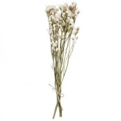 Top 10 🔥 Maisons Du Monde Bouquet De Fleurs Séchées Blanc ⭐