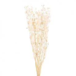 Le moins cher 🎉 Maisons Du Monde Bouquet De Fleurs Séchées Blanc Cassé - Lot De 2 🛒