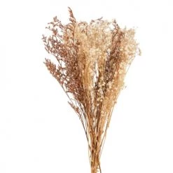 Meilleure affaire 😉 Maisons Du Monde Bouquet De Fleurs Séchées Blanches 🛒