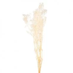 Top 10 ✔️ Maisons Du Monde Bouquet De Fleurs Séchées Blanches 🌟