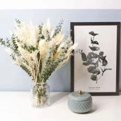 Le moins cher ⭐ Réconciliation Végétale Décoration De Jardin Bouquet De Fleurs Séchées Ivoire 🧨