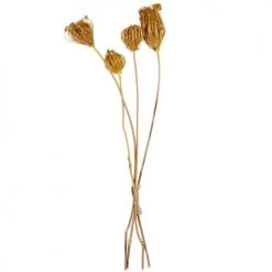 Promo ❤️ Maisons Du Monde Bouquet De Fleurs Séchées Jaunes 😉