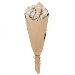 Acheter ✨ Maisons Du Monde Bouquet De Fleurs Séchées Marguerites Blanches 🎉