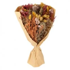 Top 10 💯 Maisons Du Monde Bouquet De Fleurs Séchées Multicolores 🛒