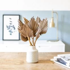 Coupon 🥰 Réconciliation Végétale Décoration De Jardin Bouquet De Fleurs Séchées Palm Spear Chocolat X 10 Feuilles 👍