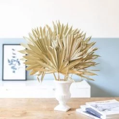 Meilleur prix 👏 Réconciliation Végétale Bouquet De Fleurs Séchées : Palm Sun Naturelle X 5 Feuilles ❤️