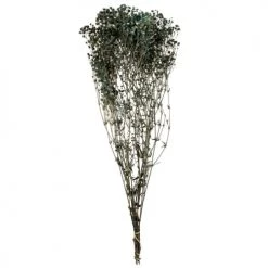 De gros ⭐ Maisons Du Monde Bouquet De Fleurs Séchées Vert 🌟