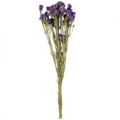 Les meilleures critiques de ❤️ Maisons Du Monde Bouquet De Fleurs Séchées Violet 😀