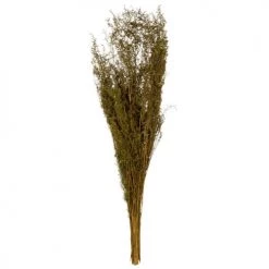 Le moins cher ⭐ Maisons Du Monde Fleurs Séchées Bouquet De Garrigues Séchées Vertes - Lot De 2 🔥