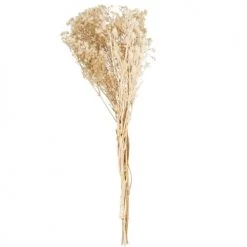 Acheter 👍 Maisons Du Monde Fleurs Séchées Bouquet De Gypsophile Séchée Beige ✨