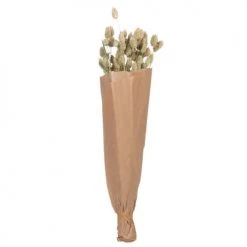 Offres 🎁 Maisons Du Monde Fleurs Séchées Bouquet De Phalaris Séché ⌛