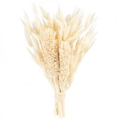 Remise 🤩 Maisons Du Monde Fleurs Séchées Bouquet éléments Séchés Beiges - Lot De 6 🔔