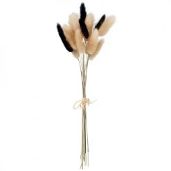 Bon marché ⭐ Maisons Du Monde Bouquet Fleurs Séchées Beiges Et Noires - Lot De 2 🧨