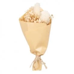 Acheter 😍 Maisons Du Monde Bouquet Fleurs Séchées Blanches H13 - Lot De 2 😉