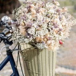 De gros 👍 Rosa Cadaqués Bouquet Fleurs Séchées Calis L 🌟