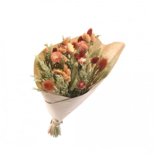 Tout neuf 🌟 Naturalys Décoration De Jardin Bouquet Fleurs Séchées L Orange D25cm 😍