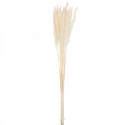 Le moins cher 🧨 LANADECO Décoration De Jardin Bouquet Plumes Fines Miscanthus Floridulus Sèche Crème H75cm 😀