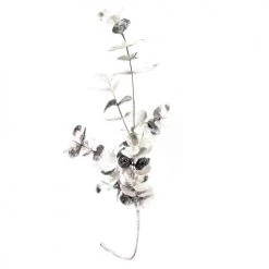 Offres ✨ Maisons Du Monde Accessoires De Décoration De Noël Branche Artificielle Eucalyptus Blanc Et Argenté ⌛