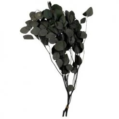 Vente flash 🛒 Maisons Du Monde Fleurs Séchées Branche De Pommier Séchée Verte ⭐