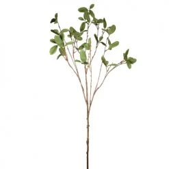 Les meilleures critiques de ⭐ Sia Deco Décoration De Jardin Branche Fantasy H100cm 👍