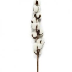 De gros 🧨 Wadiga Fleurs Séchées Branche Sèche Naturelle Coton Décorative 70cm 🔔