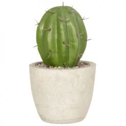 Coupon 👍 Maisons Du Monde Fleurs Artificielles Et Bouquets Cactus Artificiel Avec Pot Beige H11 - Lot De 2 ⭐