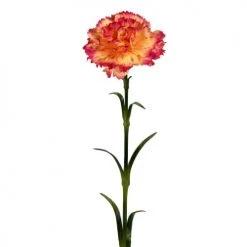 Acheter 😀 Maisons Du Monde Fleurs Artificielles Et Bouquets Carnation Artificielle Rose - Lot De 2 🛒
