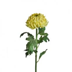 Top 10 🌟 Sia Deco Décoration De Jardin Chrysanthème Artificiel H86cm ❤️