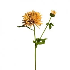 Nouveau 🎉 Sia Deco Décoration De Jardin Chrysanthème Mum 😍