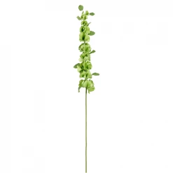 Vente flash 🌟 Sia Deco Décoration De Jardin Clochettes D'Irlande ⌛