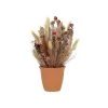 Vente flash 👏 Pirouette Paris Décoration De Jardin Composition De Fleurs Séchées Roses Pot Terracota D20cm 🔥
