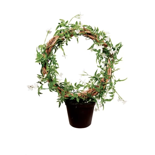 Nouveau ✔️ Sia Deco Décoration De Jardin Couronne De Fleurs De Jasmin En Pot 😀