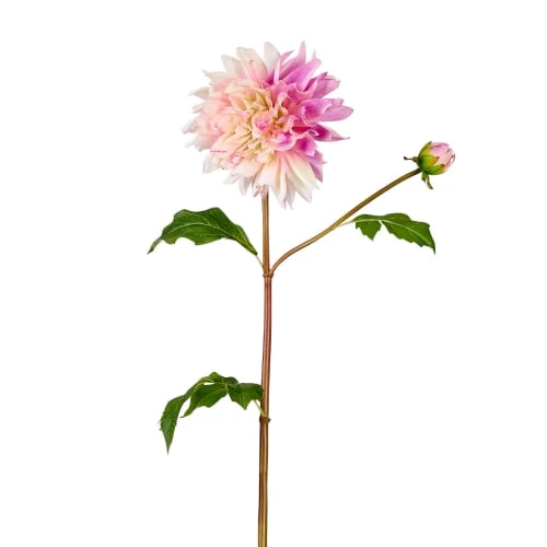 Meilleure affaire ✔️ Sia Deco Décoration De Jardin Dahlia Estiva 🔥