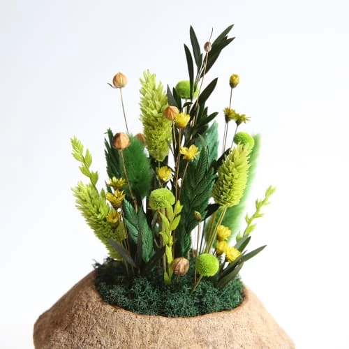 De gros đ Origine Atelier Floral Fleurs SĂ©chĂ©es DeÌcoration Fleurs SeÌcheÌes Noix De Sapucaja ForĂȘt đ â Image 2