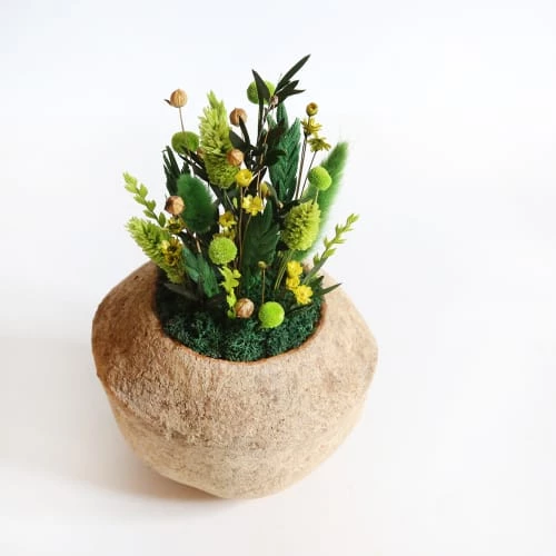 De gros đ Origine Atelier Floral Fleurs SĂ©chĂ©es DeÌcoration Fleurs SeÌcheÌes Noix De Sapucaja ForĂȘt đ â Image 3