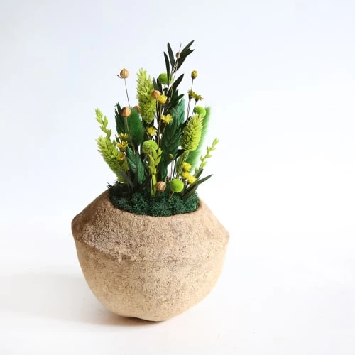 De gros đ Origine Atelier Floral Fleurs SĂ©chĂ©es DeÌcoration Fleurs SeÌcheÌes Noix De Sapucaja ForĂȘt đ