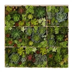Tout neuf ❤️ Maisons Du Monde Fleurs Artificielles Et Bouquets Déco Murale Plantes Artificielles 17x70 🎉
