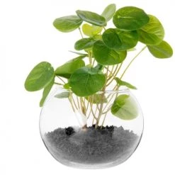 Grosses soldes 👏 Maisons Du Monde Fleurs Artificielles Et Bouquets Eucalyptus Artificiel Pot En Verre 💯