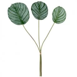 Coupon 🎉 Maisons Du Monde Fleurs Artificielles Et Bouquets Feuilles Artificielles Vertes - Lot De 6 🛒