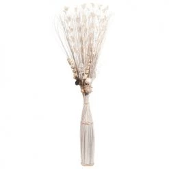 Tout neuf 😀 Maisons Du Monde Fleurs Séchées Blanches/crème H 150 Cm 🌟