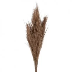 Bon marché 🤩 Maisons Du Monde Fleurs Séchées Style Pampa Beiges H80 ❤️