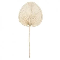 Meilleure vente 😍 Maisons Du Monde Fleurs Séchées Grande Feuille Séchée Ronde Beige H130 🧨