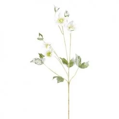 Meilleure vente 🥰 Sia Deco Décoration De Jardin Helleborus Niger Givré 🎁