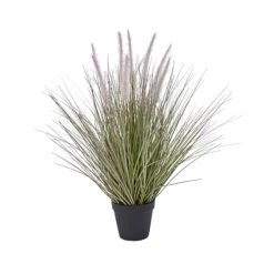 Acheter ⌛ Sia Deco Décoration De Jardin Herbe En Pot 🦮 Dogtail 😀