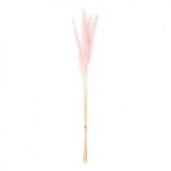 Acheter ⌛ Rico Design Décoration De Jardin Herbes De Palma Séchées Rose 70cm 🌟