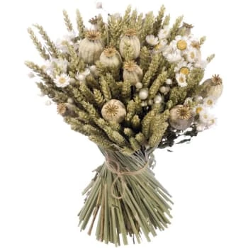 Top 10 🤩 Naturalys Décoration De Jardin Kit Création Bouquet Fleurs Séchées Diy Orange ⌛ – Image 3