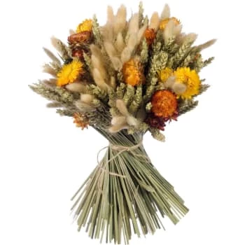 Top 10 🤩 Naturalys Décoration De Jardin Kit Création Bouquet Fleurs Séchées Diy Orange ⌛ – Image 5