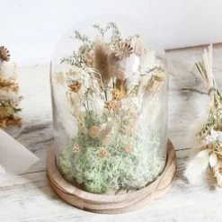 Vente flash 🛒 Origine Atelier Floral Fleurs Séchées Kit DIY Globe Fleurs Séchées Douceur 🥰